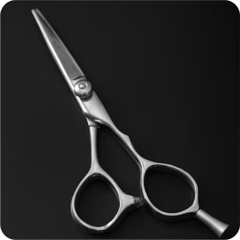 surgical and dental instruments